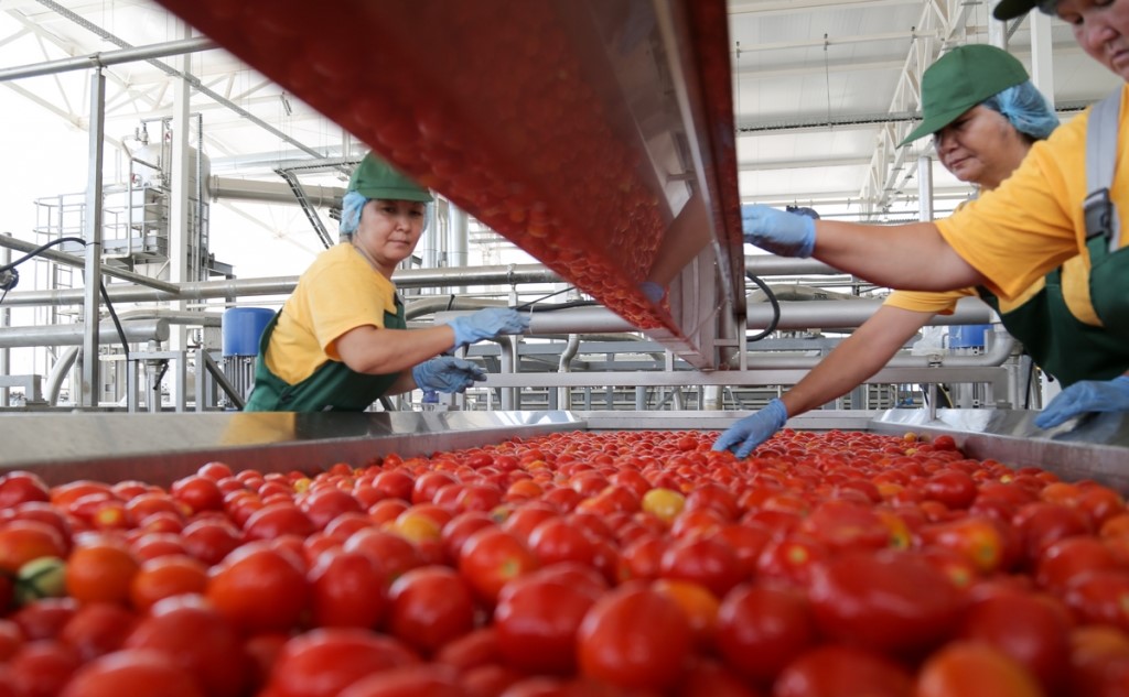 Астраханский завод томатной пасты завозит 665 работников из Узбекистана