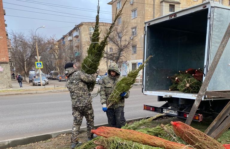 В Астрахани ловят нелегальных торговцев елками
