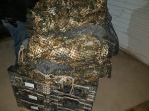 Под Астраханью раки в коробках ждали, что их хоть кто-то заберет: версия водителя