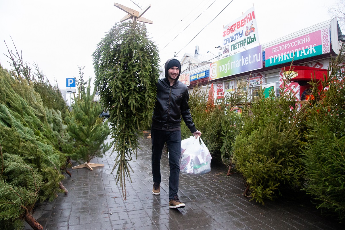 Колючий ажиотаж: как в Астрахани работают елочные базары