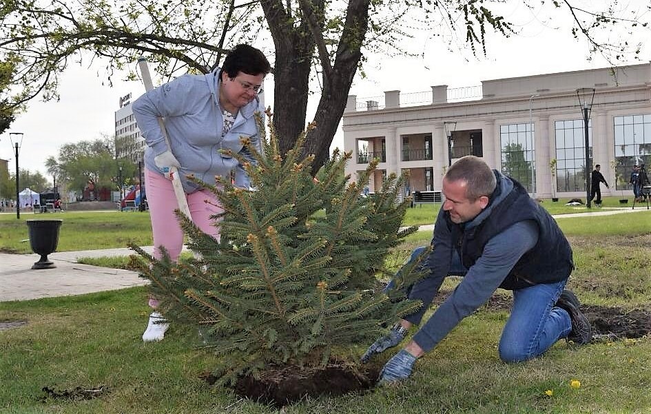 За год в Астрахани высадили более 11 тысяч деревьев