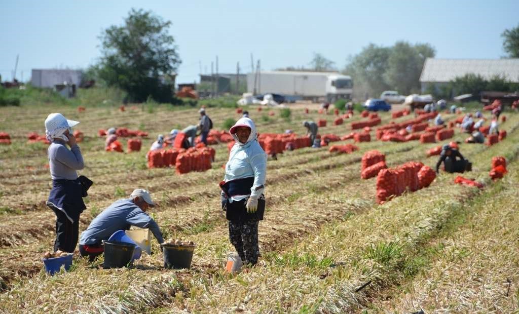 Астраханская область готова поставлять в Казахстан тысячи тонн продовольствия