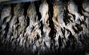 В Астрахани на производстве нашли запрещенную рыбу из будущего