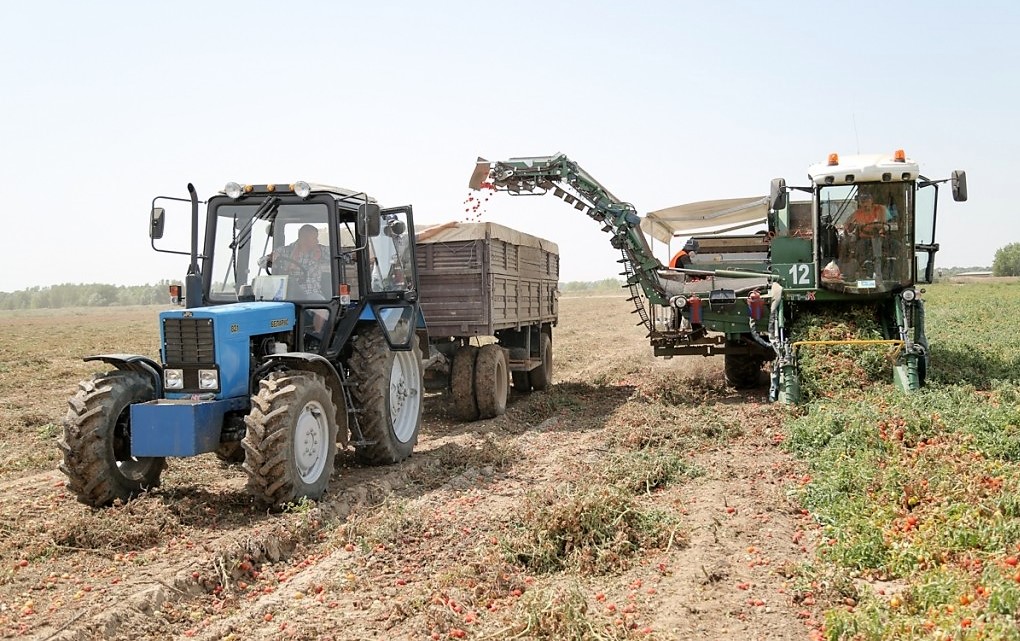 Астраханская область увеличит производство сельхозпродукции в 2022 году