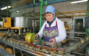 В Астраханской области построят завод рыбного оборудования за 1,5 млрд рублей
