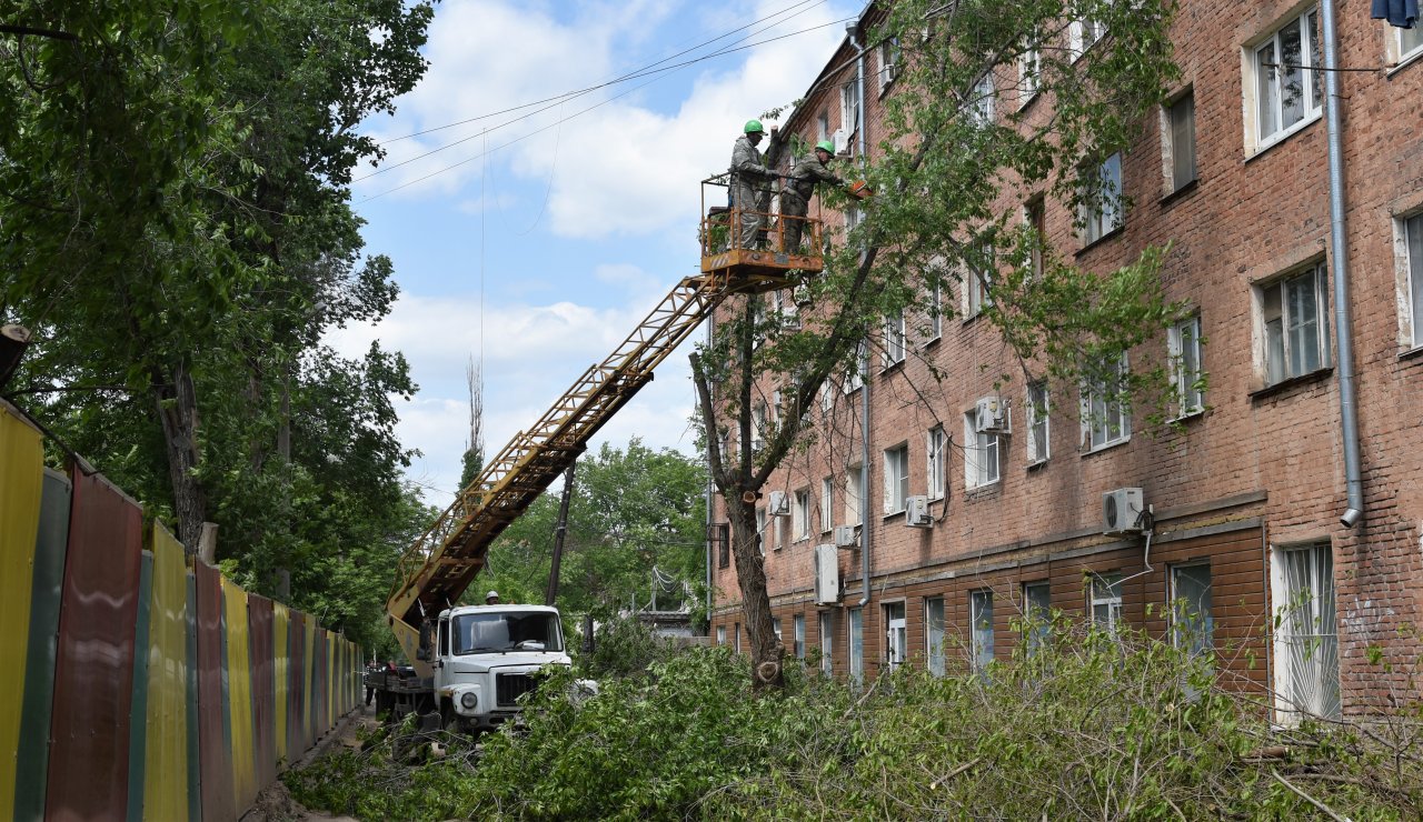 На улице Ляхова спилили четыре крупных дерева