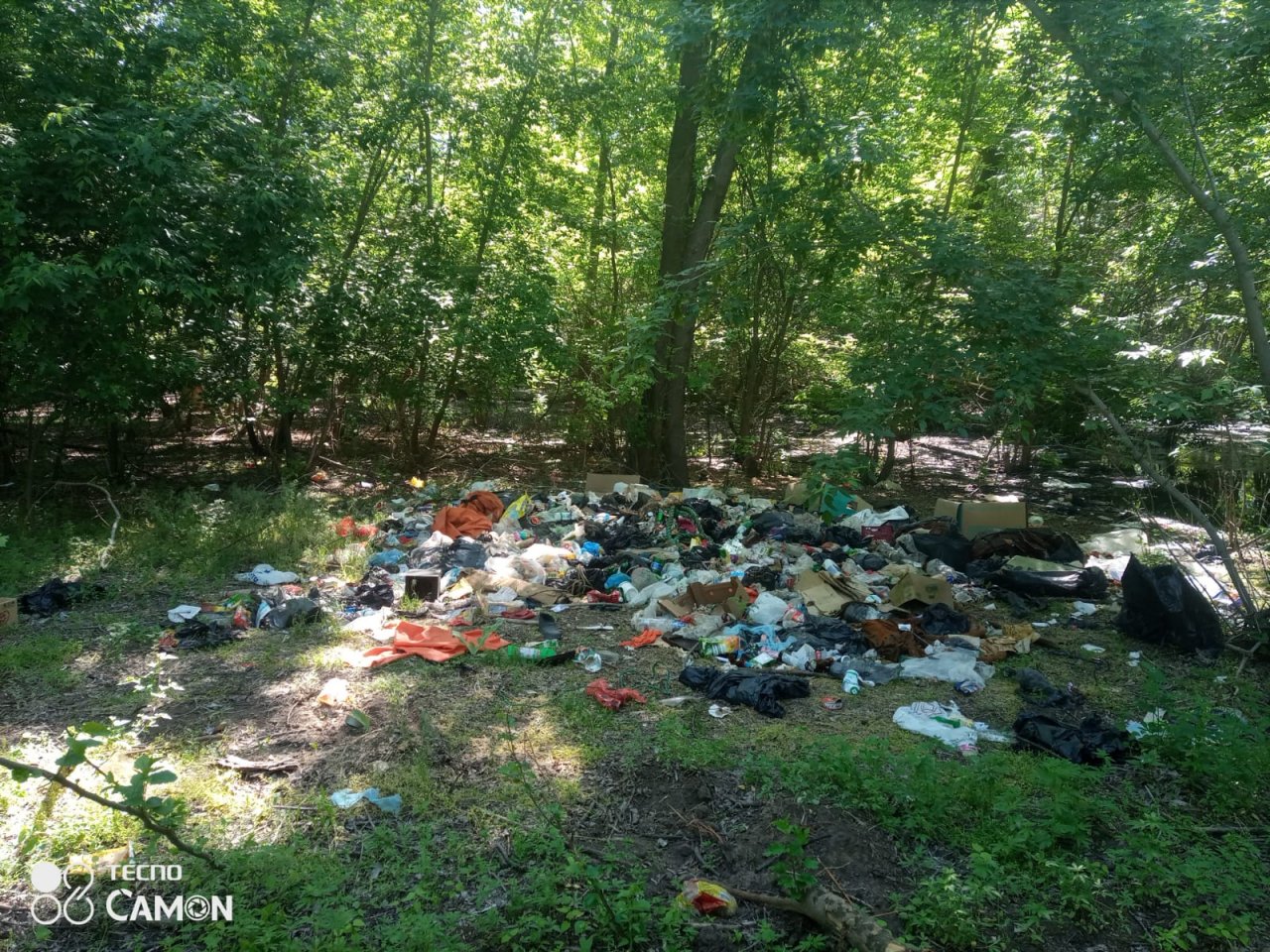 В Астрахани лес у Янго-аула закидали мусором
