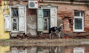 Мошенники отобрали у астраханца квартиру и вывезли его в заброшенный дом