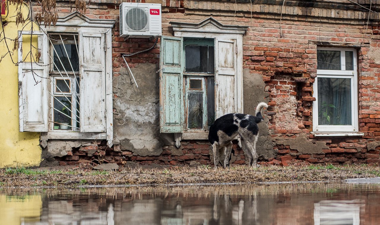 В Росреестре назвали число непригодных для проживания домов в Астраханской области