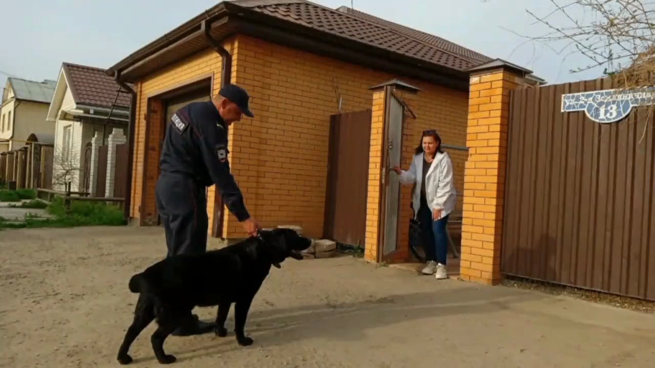 Астраханские полицейские рассказали душевную историю о спасении пса