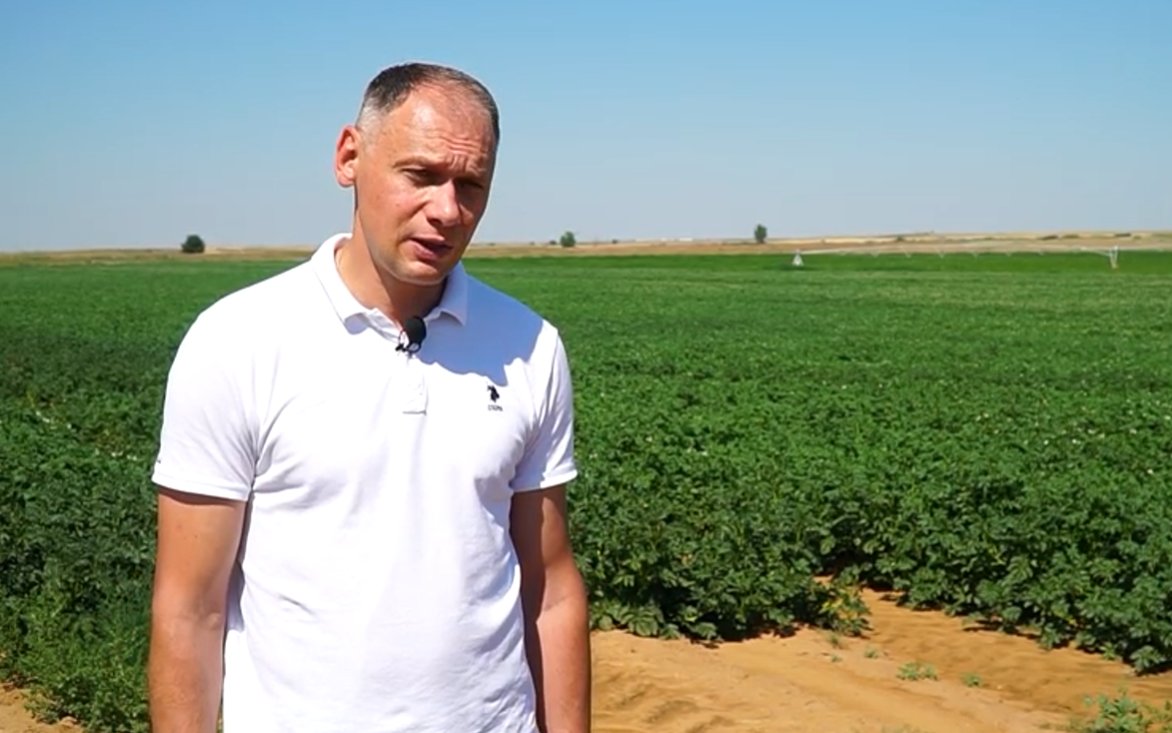 Фермер объяснил, почему под Астраханью нет смысла строить завод картофеля фри