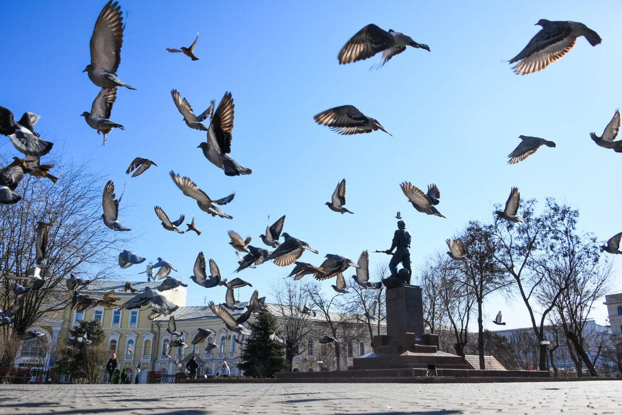 В Астрахани в честь Дня города проведут фотоконкурс