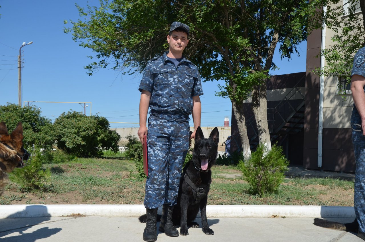 В Астрахани собака помогла поймать банду воров