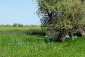 Где в Астраханской области строго запрещены рыбалка и проезд без разрешения