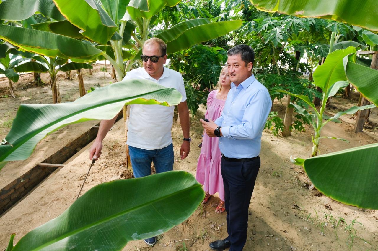 Новострой, ильмень, бананы: Ринат Аюпов посетил Лиманский район