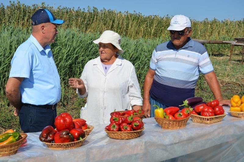 Астраханский чиновник заявил, что потребители устали от импортных помидоров