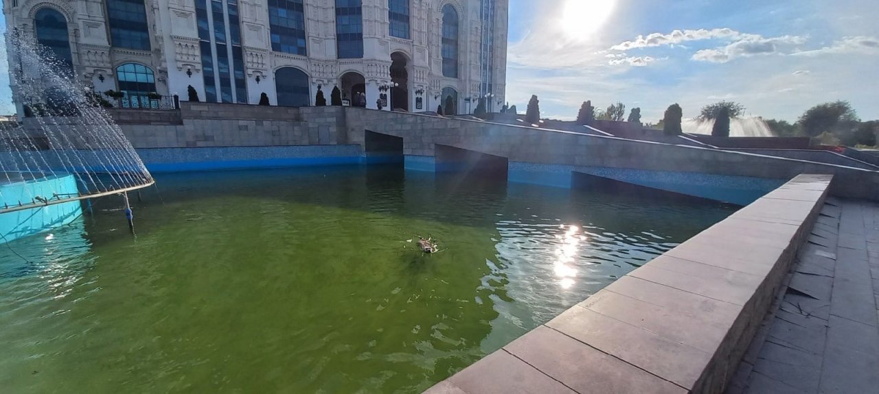 В Астрахани сотрудники Театра оперы и балета спасли тонущую собаку