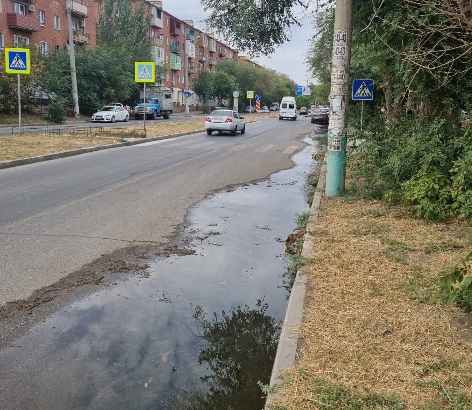 Одна из главных улиц Астрахани задыхается от страшной вони АРБУЗ