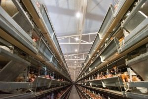 Скоро в Астраханской области откроется крупное производство