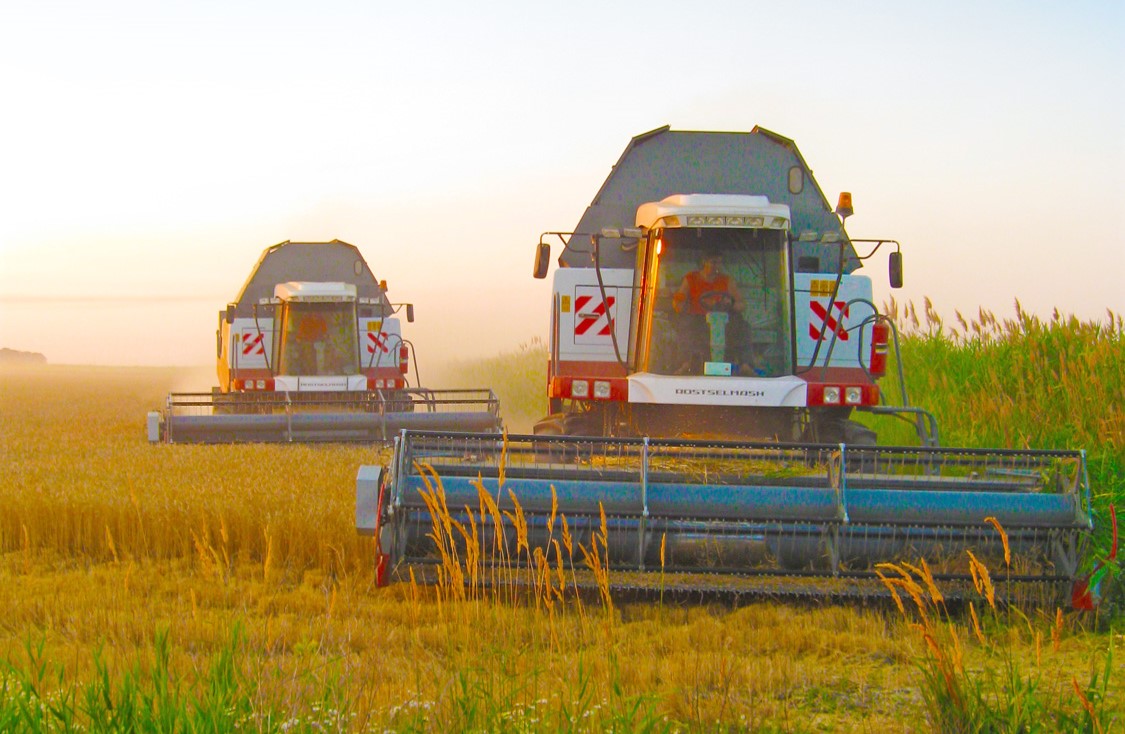 Выращивание риса в Астраханской области