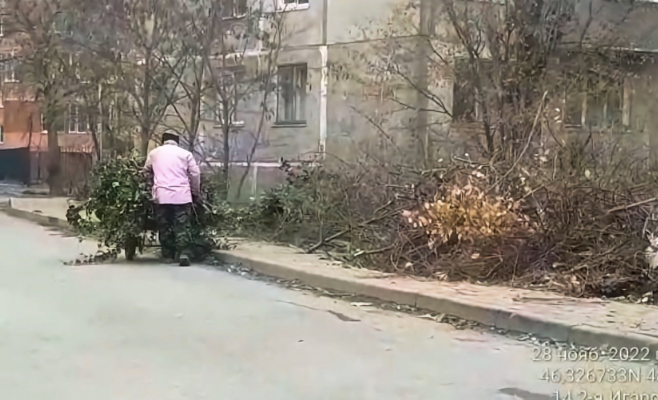 Астраханцы продолжают выбрасывать ветки и листву рядом с мусорными контейнерами