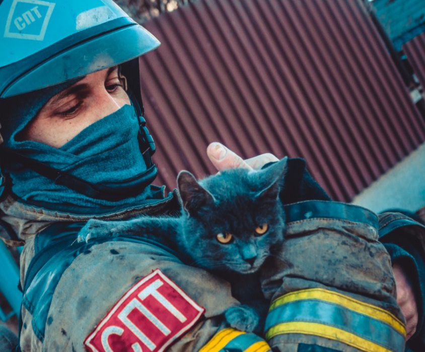 Астраханский спасатель вынес из горящего дома до смерти напуганного кота
