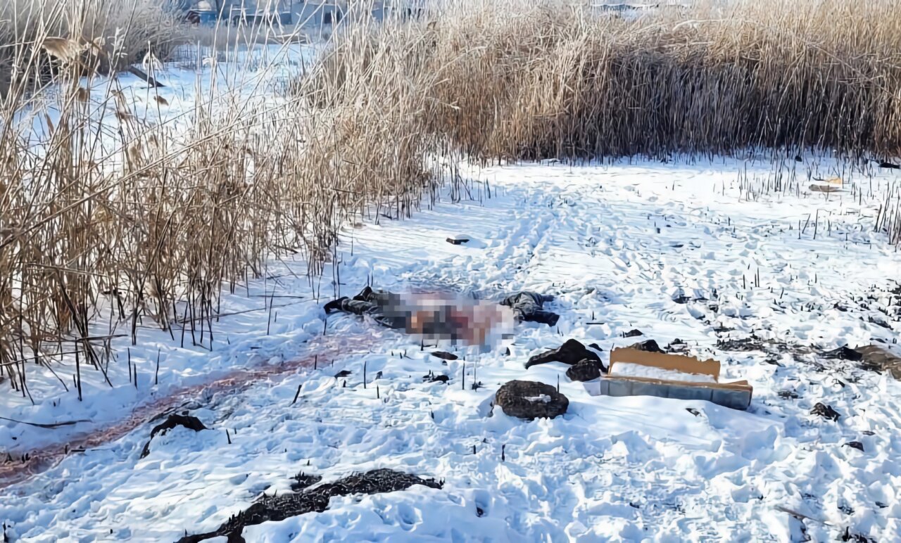 Тело погрызанного собаками мужчины обнаружили в Астрахани