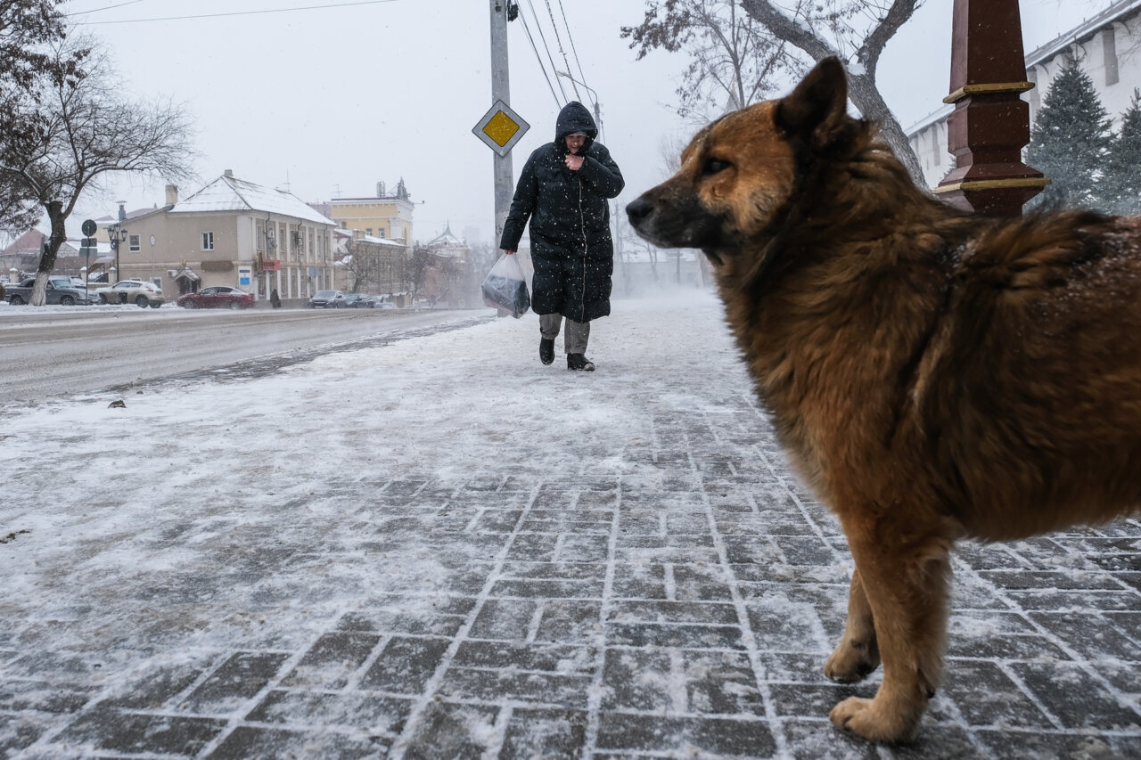 В Астрахани ударят сильные морозы и пойдет снег
