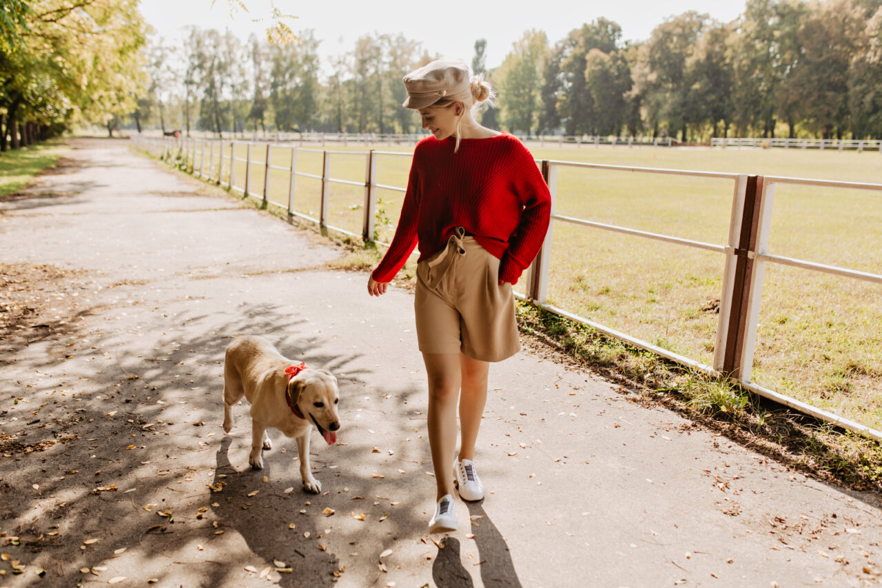 Walking pet