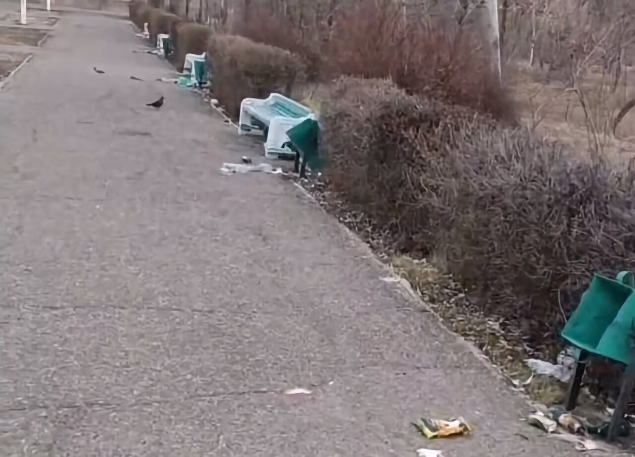 В Знаменске вандалы атаковали все мусорные баки местного парка