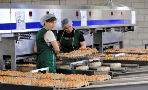 Астраханская область нарастила производство яиц
