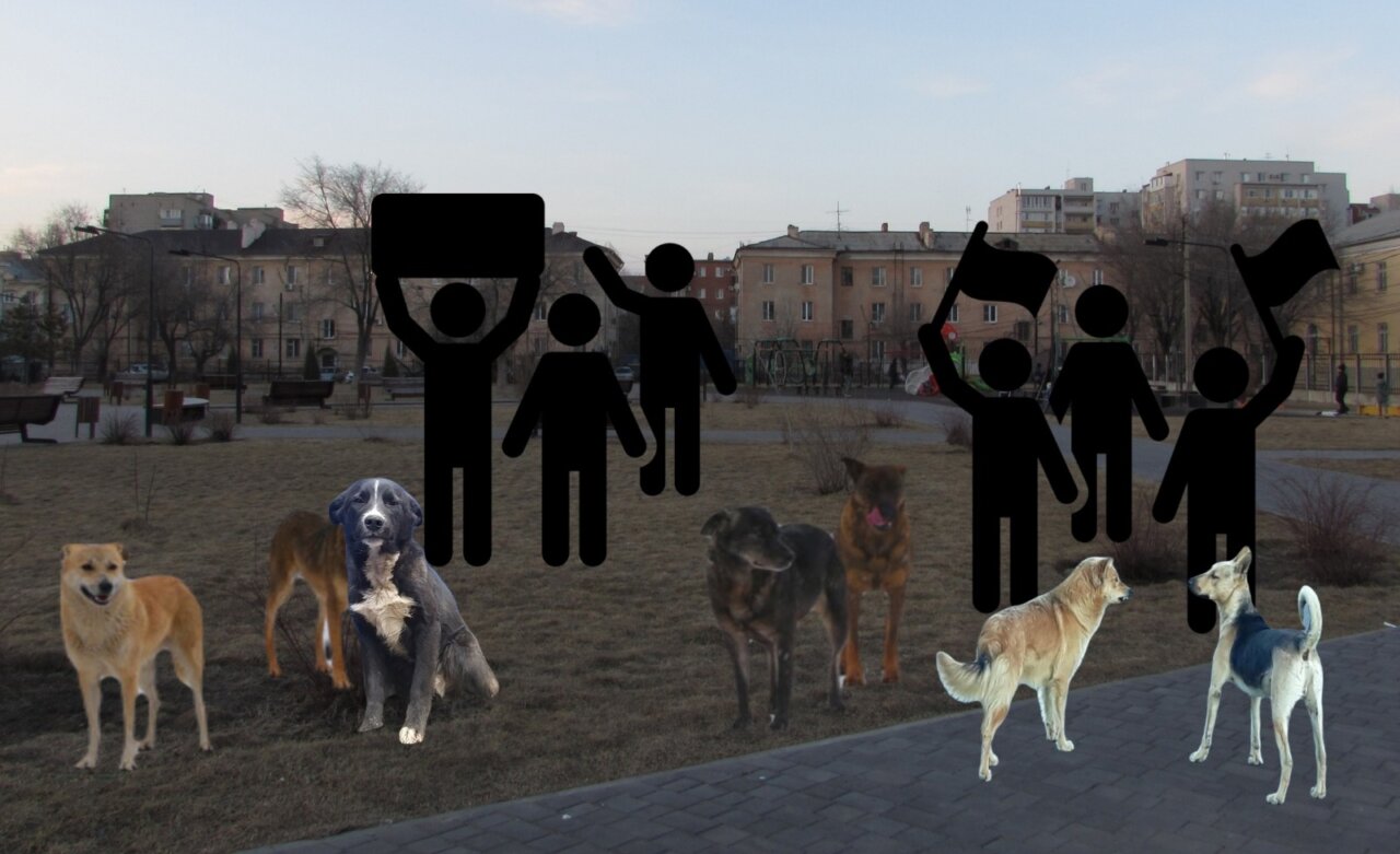 В Астрахани планируют собрание жителей в поддержку гуманной эвтаназии безнадзорных собак