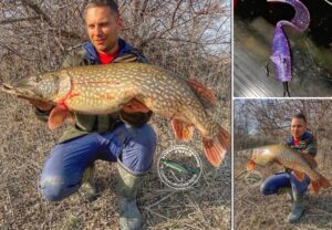Астраханские рыбаки хвастаются огромными рыбами