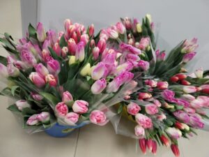 Под Астраханью мужчина украл у знакомой четное число цветов, чтобы порадовать любимую