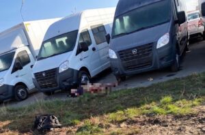 В Астрахани нашли погрызенный собаками труп молодой женщины