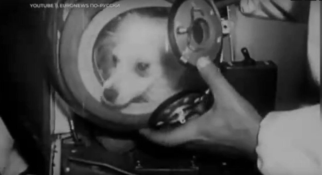 Игорь Бабушкин напомнил, что первых собак в космос отправили из Астраханской области