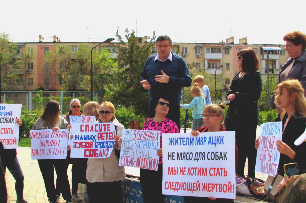 В Астрахани снова прошел митинг против бродячих собак