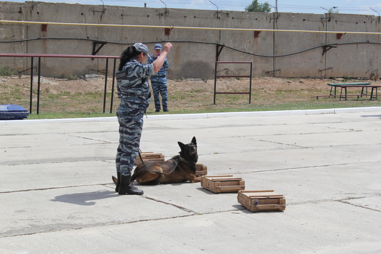 Полицейские показали детям задержание преступника и работу служебных собак в Астрахани
