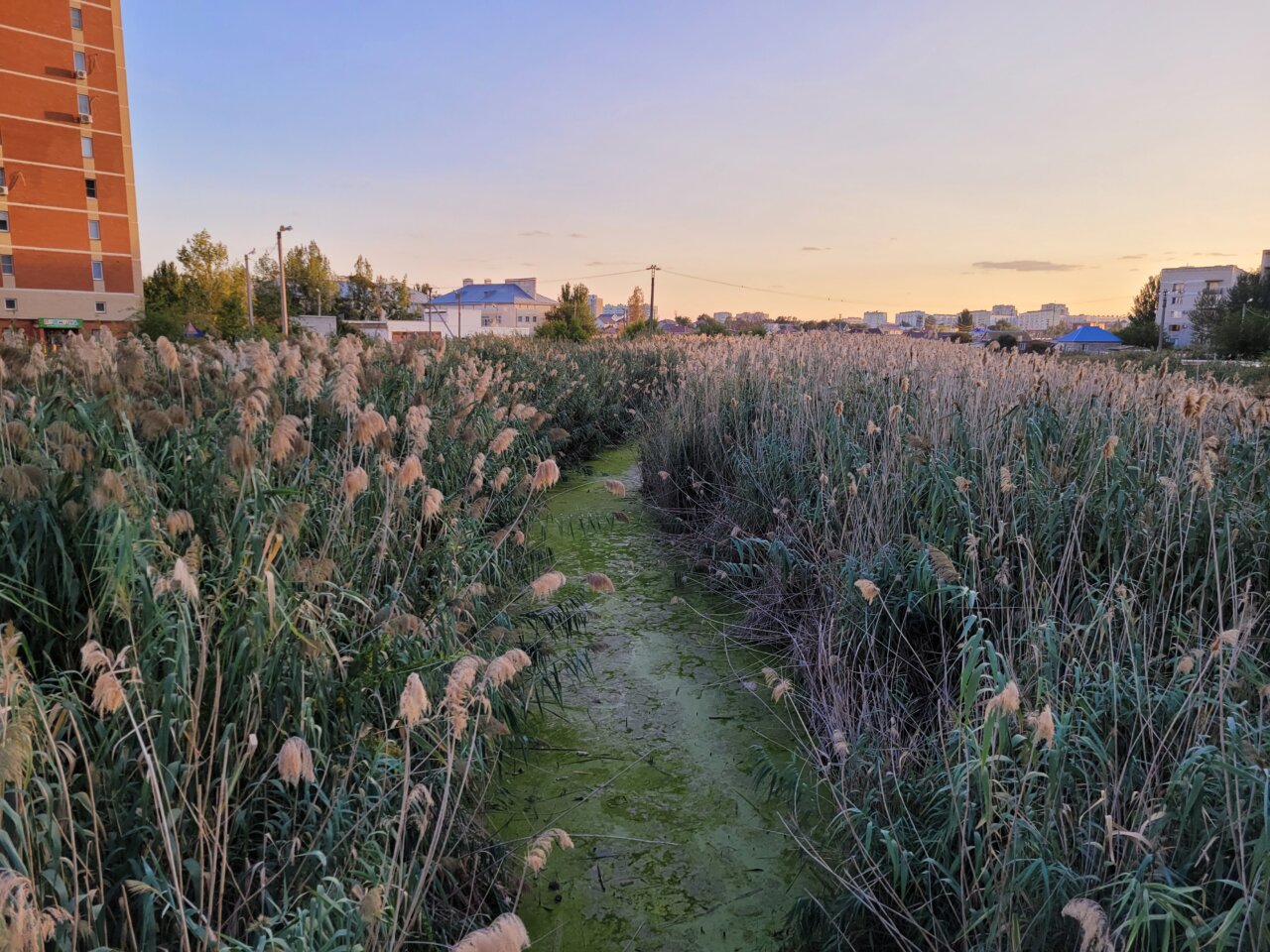 ерик Казачий