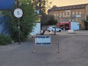 Защитники животных избили ловца собак в Астрахани металлической трубой