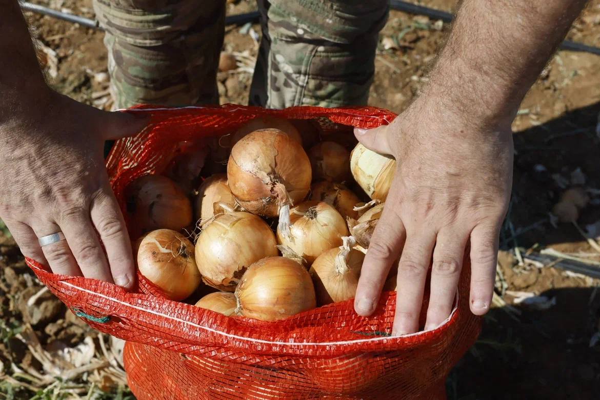 Астраханские фермеры переходят на круглогодичную работу