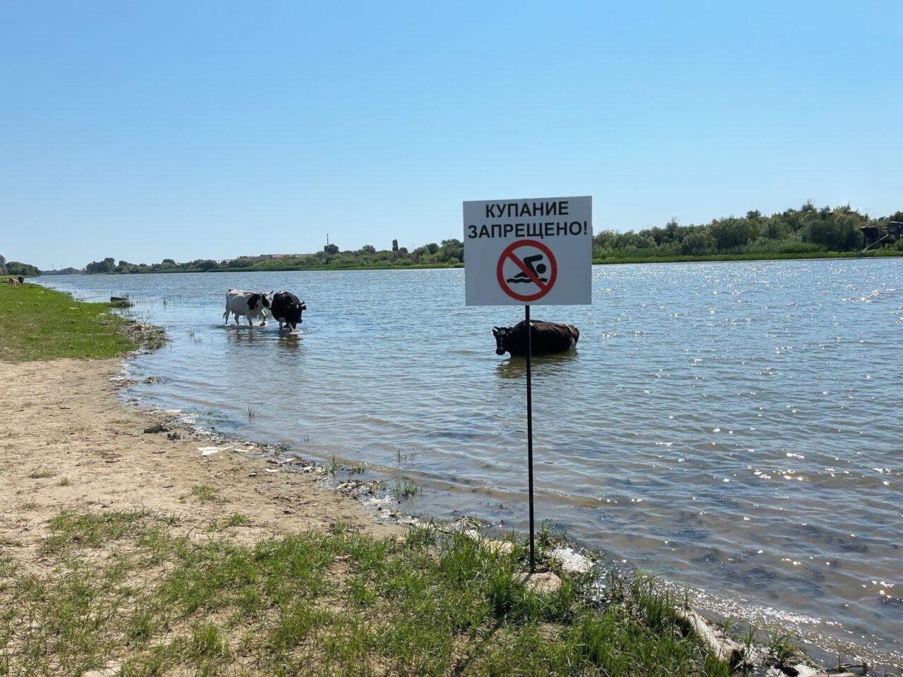 На пляжах Ленинского района появились таблички о запрете купания