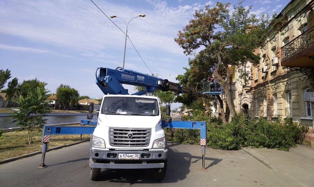 На одной из центральных улиц Астрахани массово опилили деревья