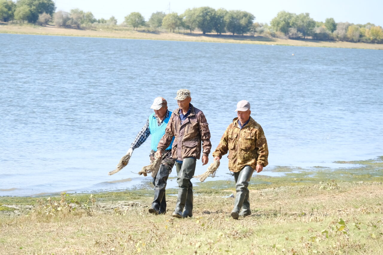 В Астраханской области назвали сферы, в которых больше всего предложений о работе