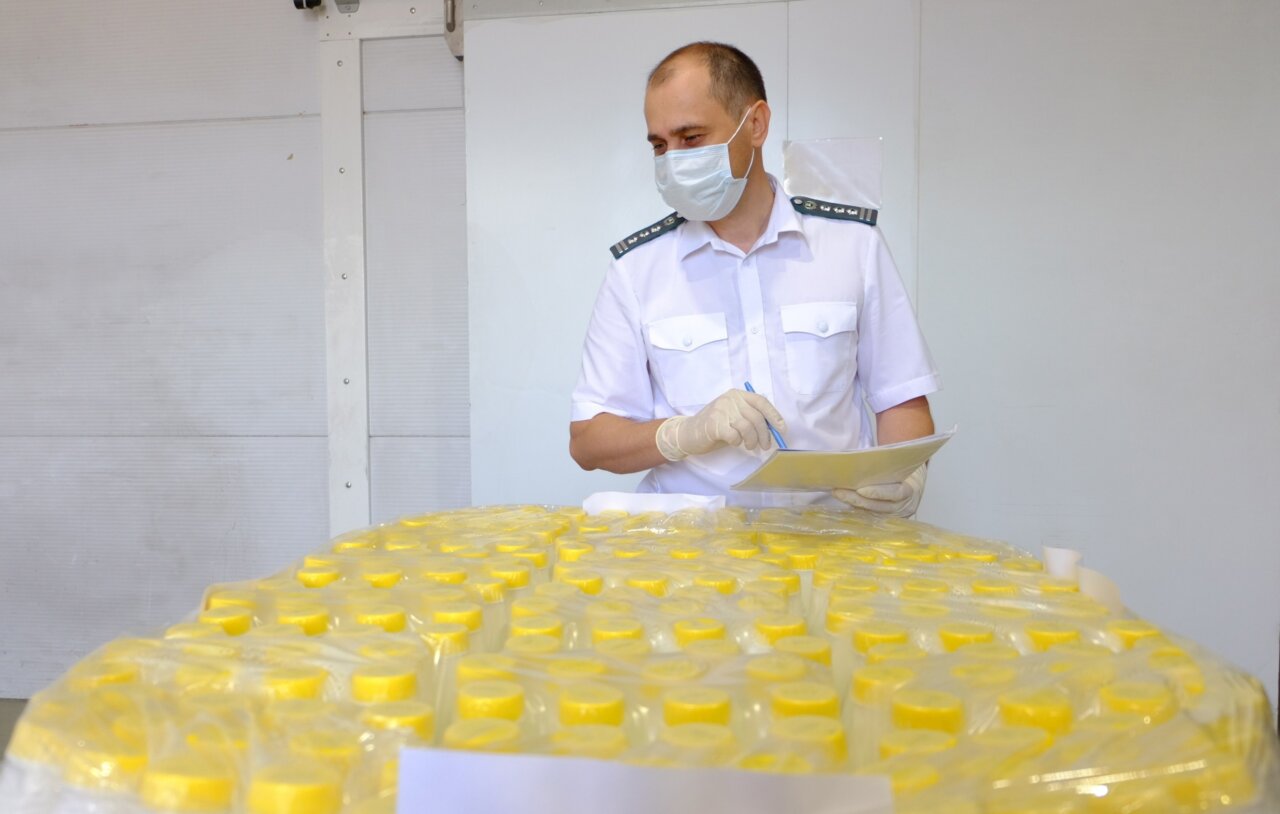 Астраханский предприниматель заставил молоко перемещаться со скоростью света