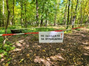 Астраханцам на три недели запретили ходить в лес