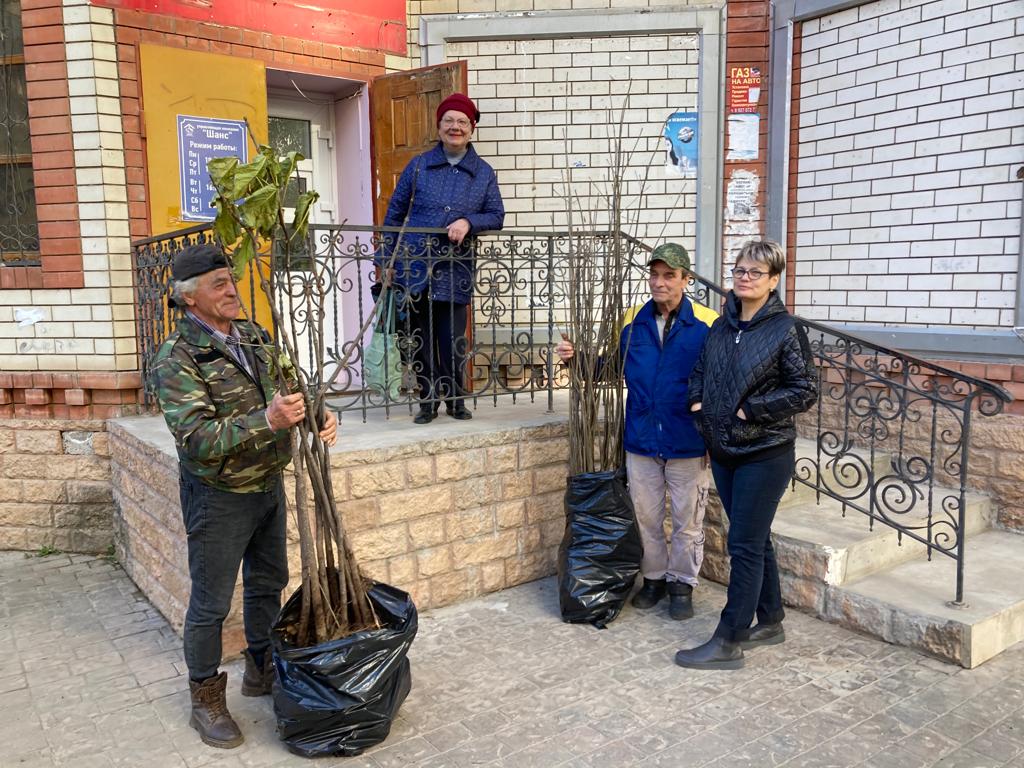 Астраханские депутаты помогают местным жителям с озеленением дворов