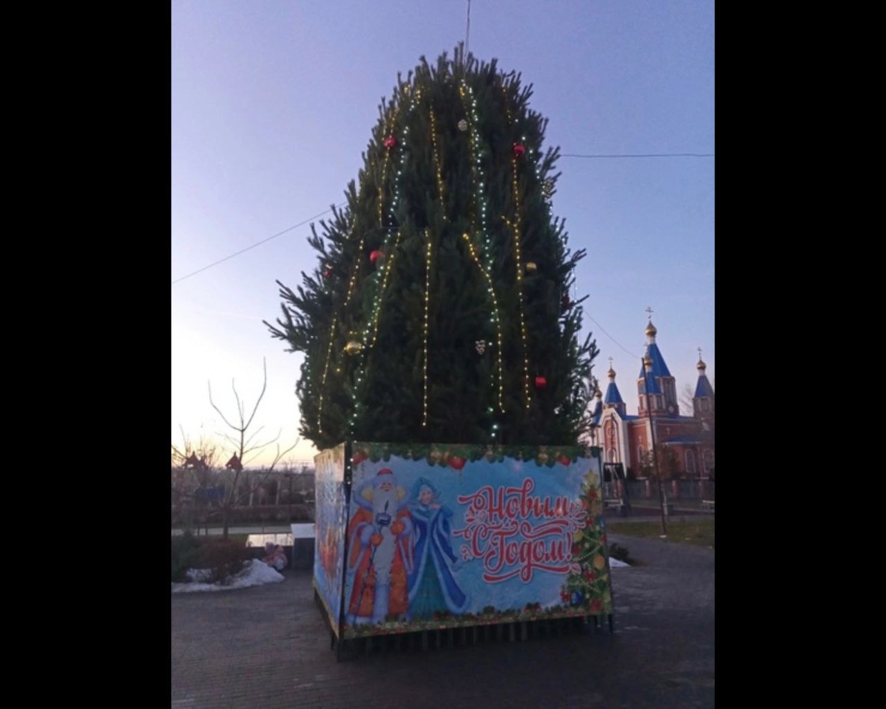 В Астраханской области установили новогодний кактус | АРБУЗ