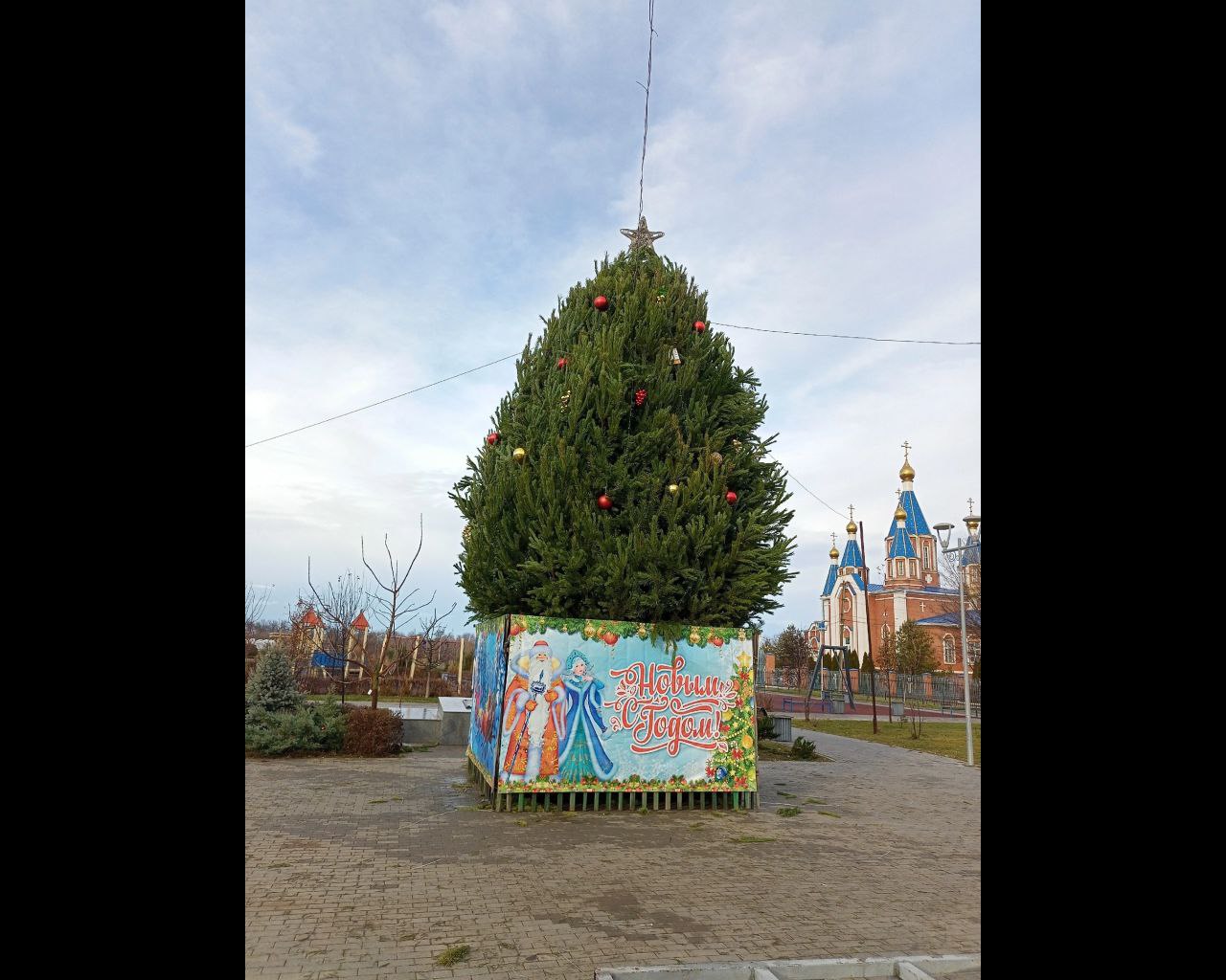 В Астраханской области с новогоднего кактуса пропали гирлянды | 25.12.2023  | Астрахань - БезФормата