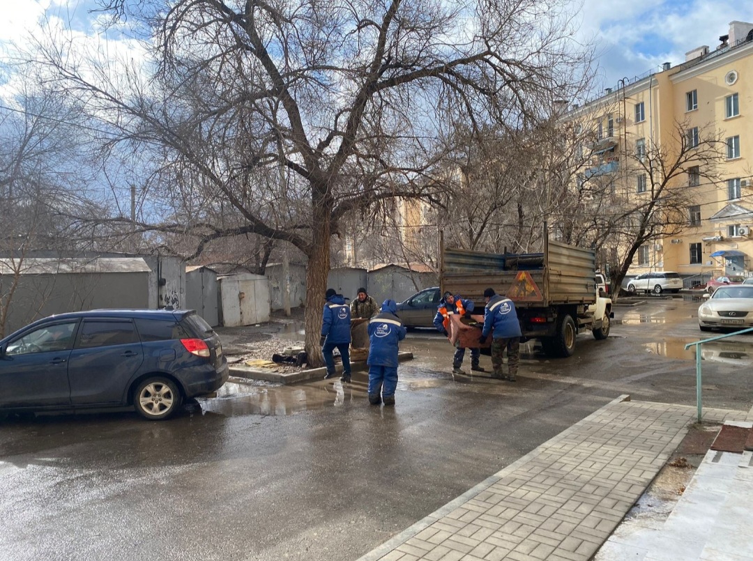 Наказание: в центре Астрахани убрали пристанище собак, которые напали на девочку